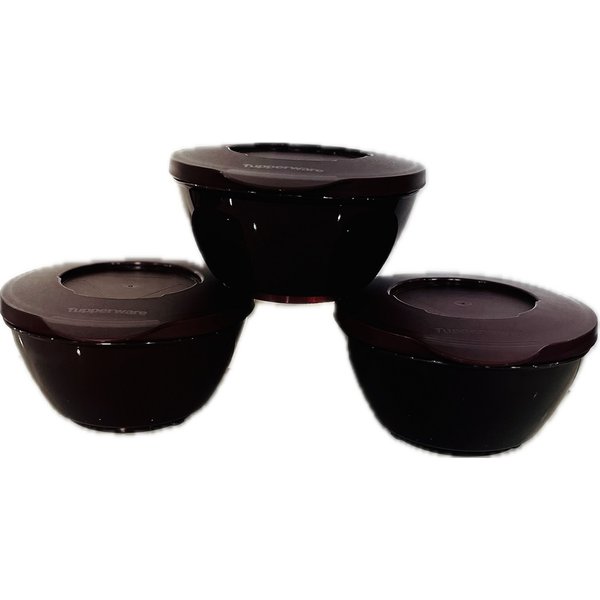 Garrafa de Água Tupperware Eco Tupper Merlot 1L | Brasil