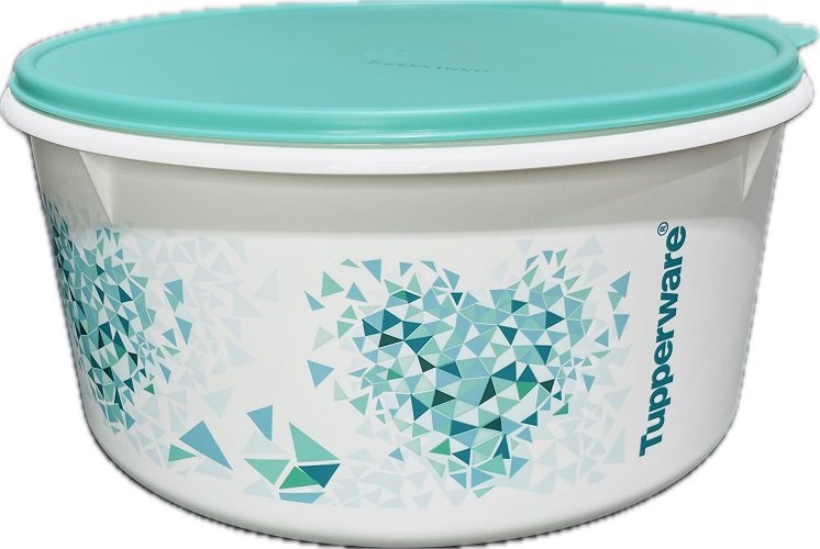 Tupperware Porta Tudo Momentos 10 Litros